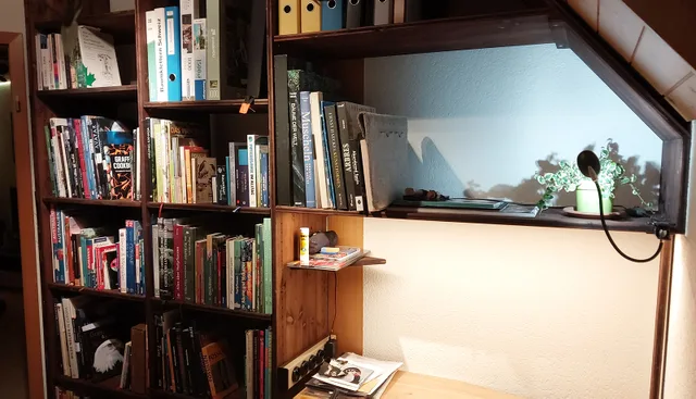 Bücherregal